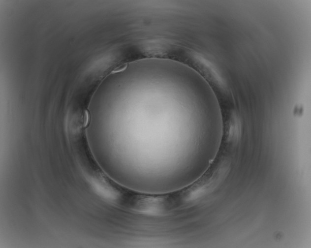 X0000096700081200802051421