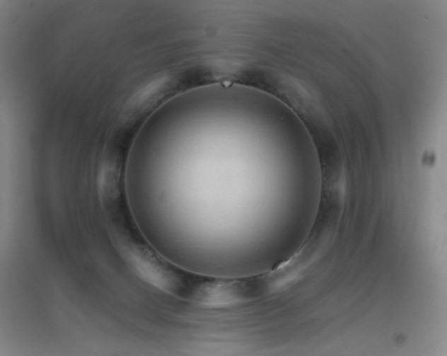 X0000096700082200802051421