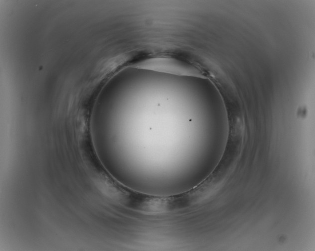 X0000096700084200802051421