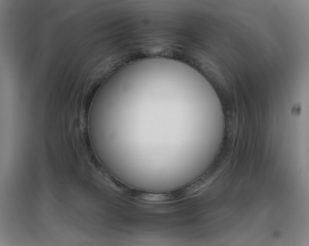 X0000096700085200802051421