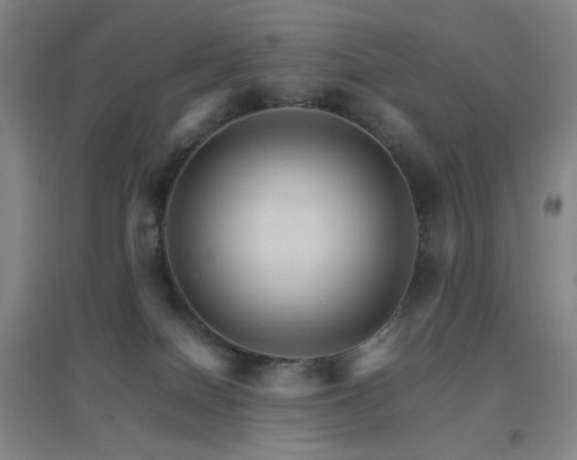 X0000096700086200802051421