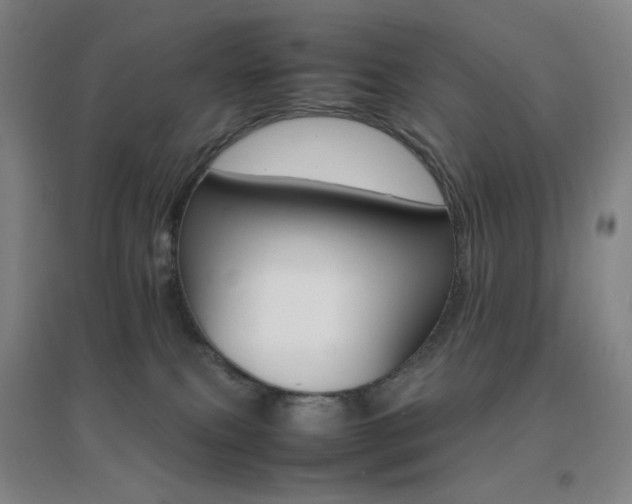 X0000096700087200802051421