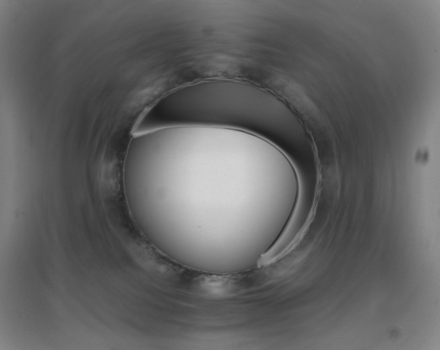 X0000096700088200802051421
