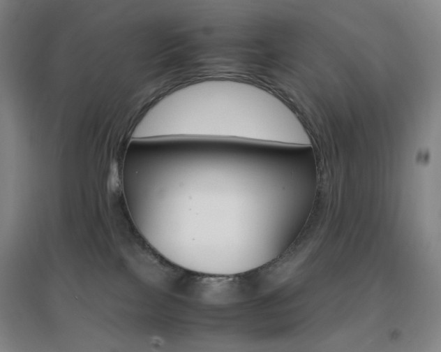 X0000096700089200802051421