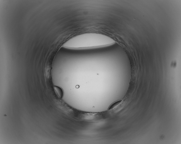 X0000096700090200802051421