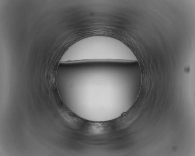 X0000096700091200802051421