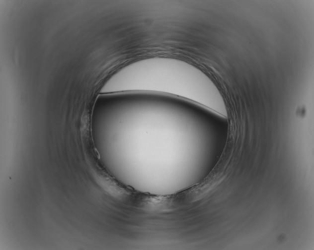 X0000096700092200802051421