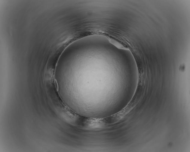 X0000096700093200802051421