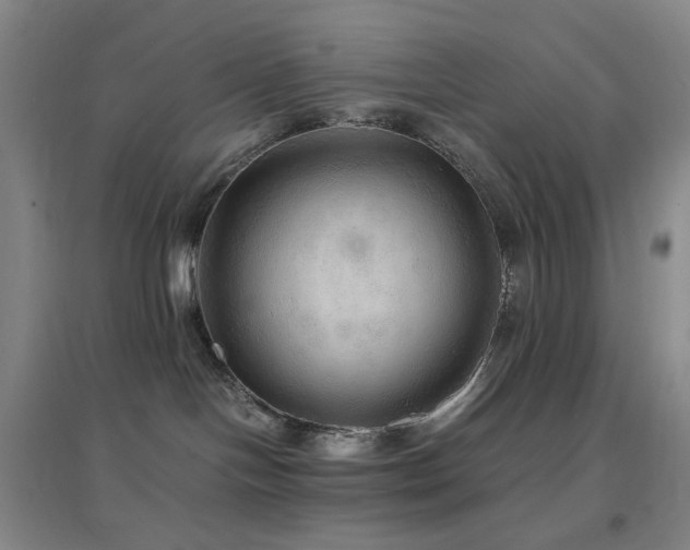 X0000096700094200802051421