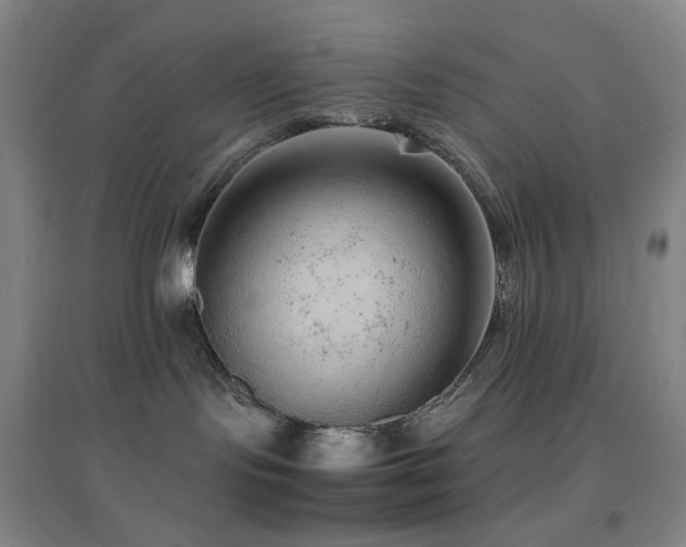 X0000096700095200802051421
