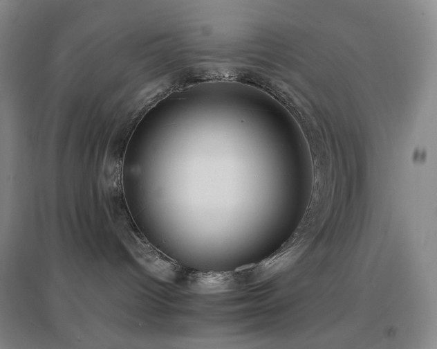 X0000096700096200802051421
