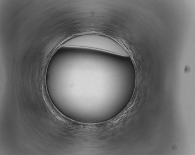 X0000096700097200802051420