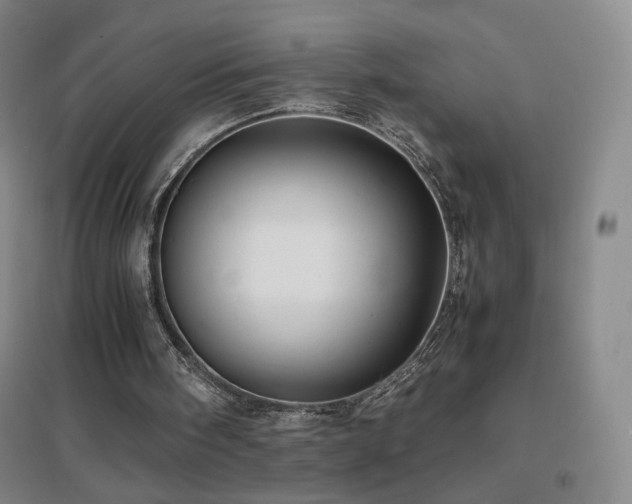 X0000096700098200802051420