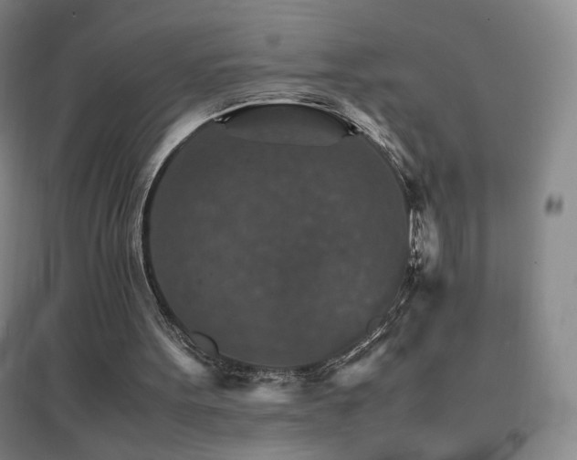 X0000096700099200802051420