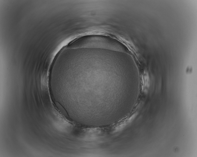 X0000096700100200802051420