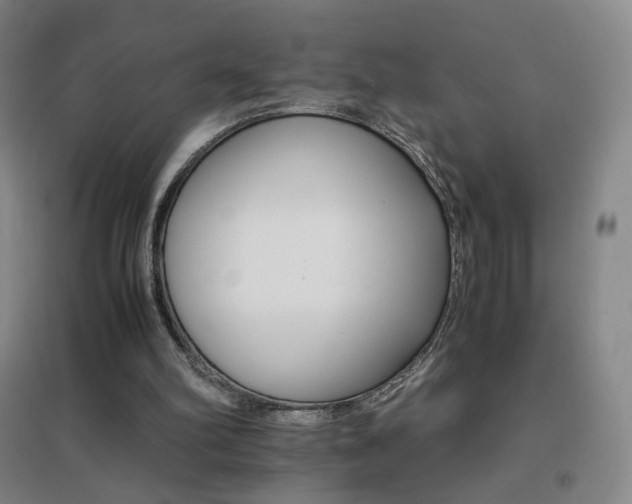 X0000096700102200802051420