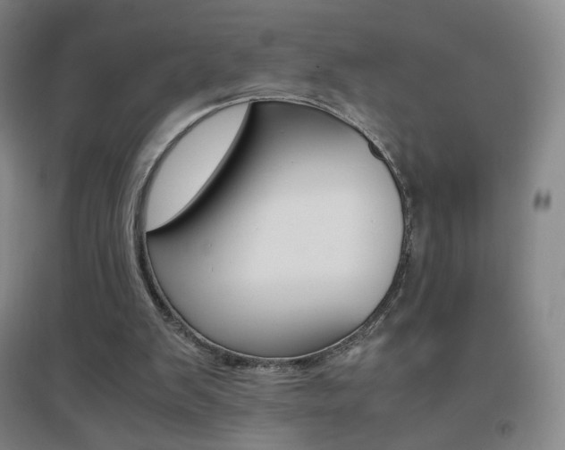 X0000096700103200802051420
