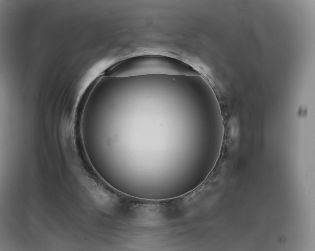 X0000096700104200802051420