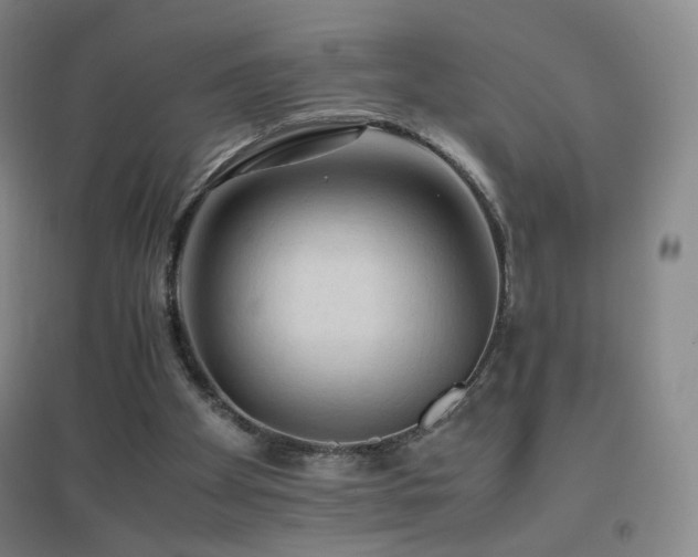 X0000096700105200802051420