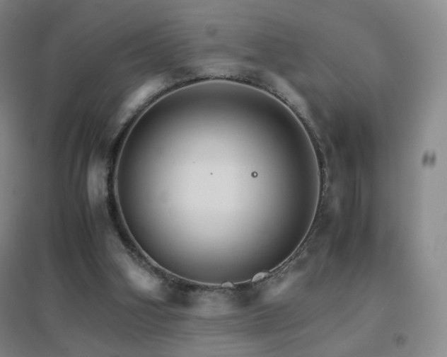 X0000096700106200802051420