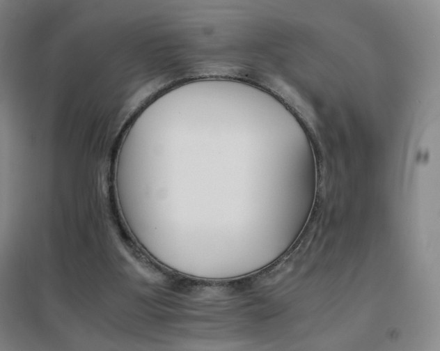 X0000096700107200802051420