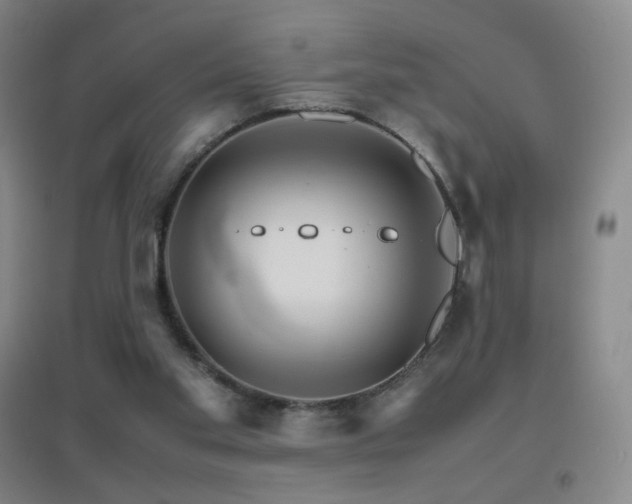 X0000096700109200802051420