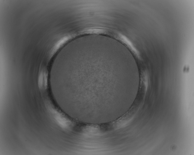 X0000096700110200802051420