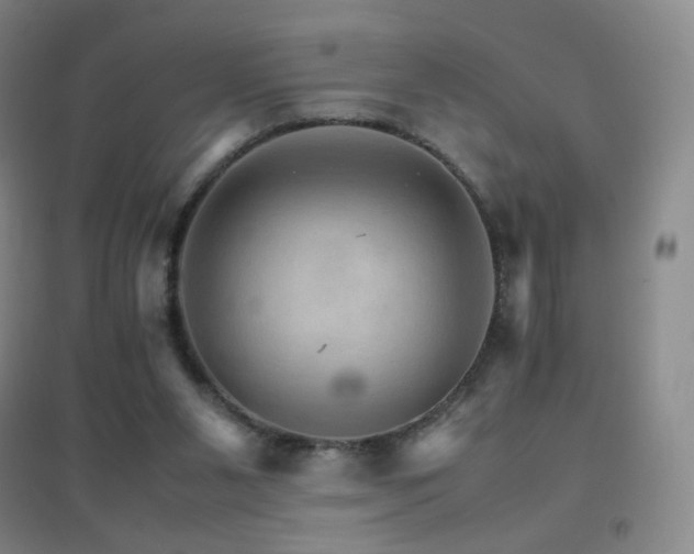 X0000096700111200802051420