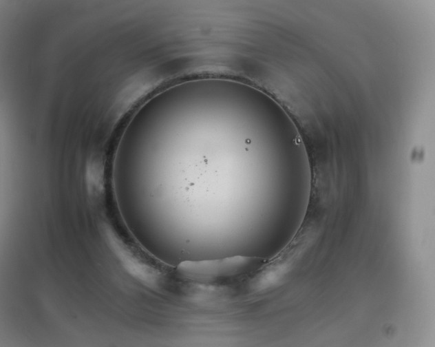 X0000096700112200802051420