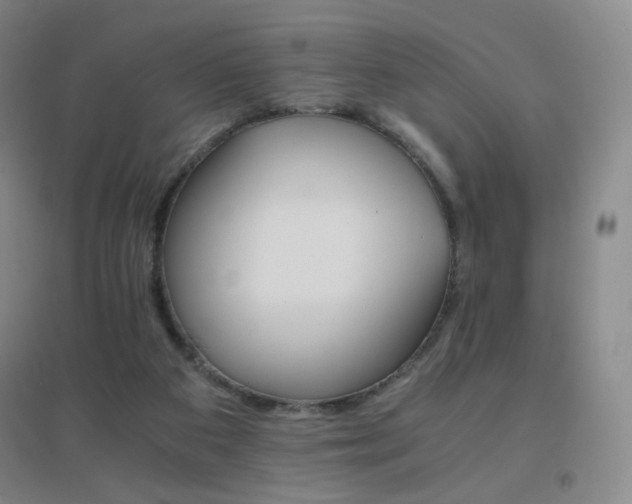 X0000096700113200802051420