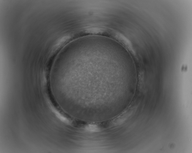X0000096700114200802051420