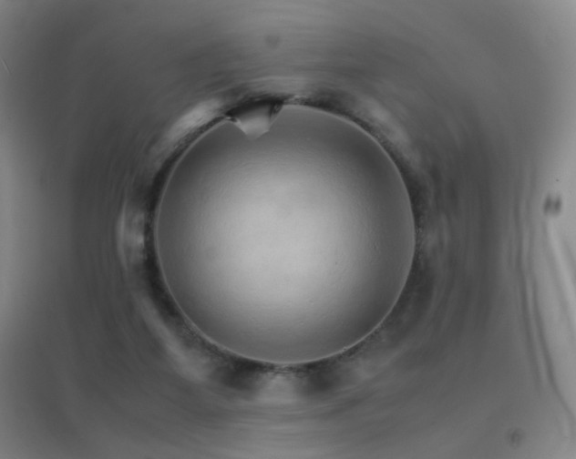 X0000096700115200802051420