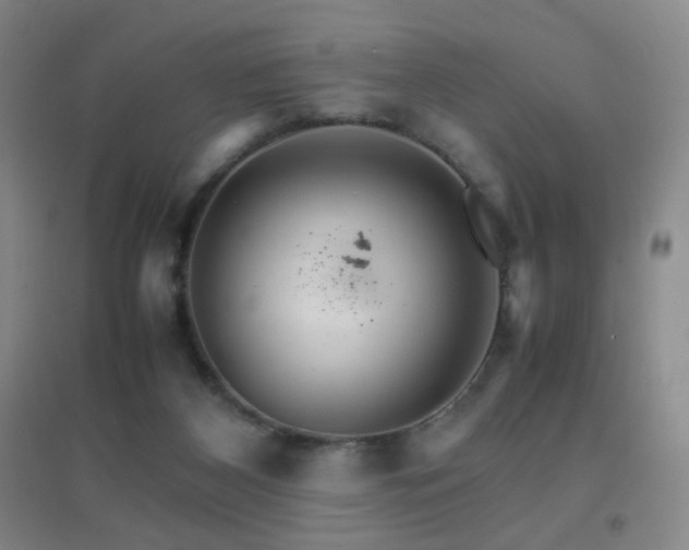 X0000096700116200802051420