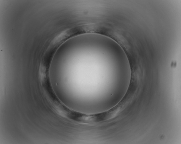 X0000096700117200802051420