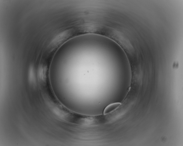 X0000096700118200802051420