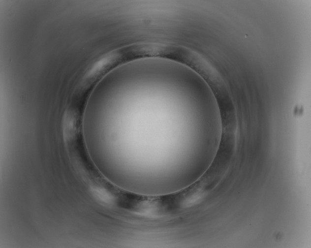 X0000096700119200802051420