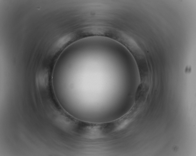 X0000096700120200802051420