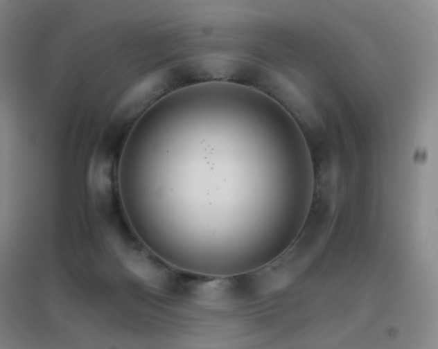 X0000096700122200802051420