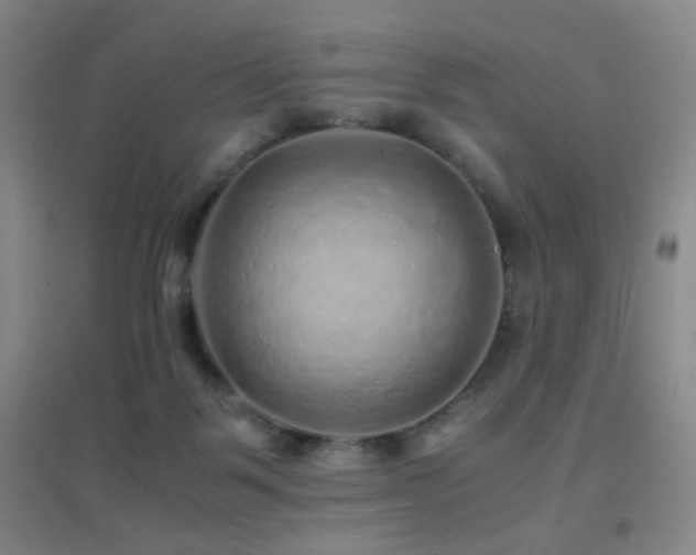 X0000096700123200802051420