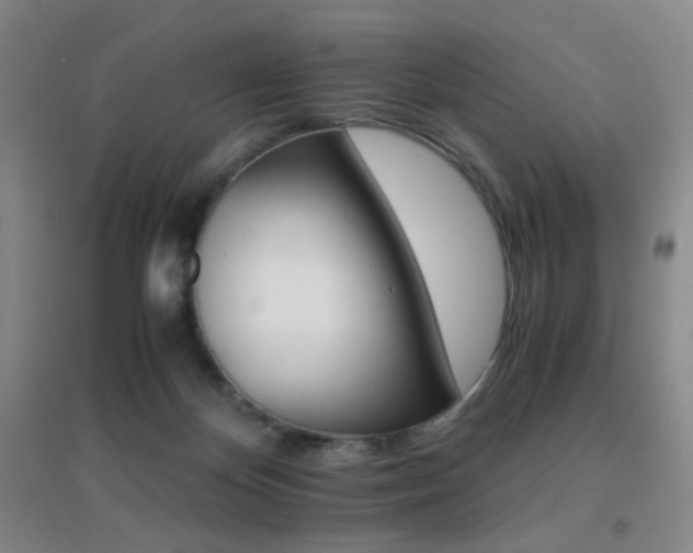 X0000096700124200802051420