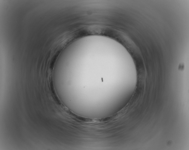 X0000096700125200802051420