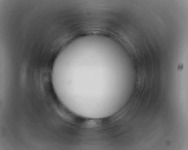 X0000096700126200802051420