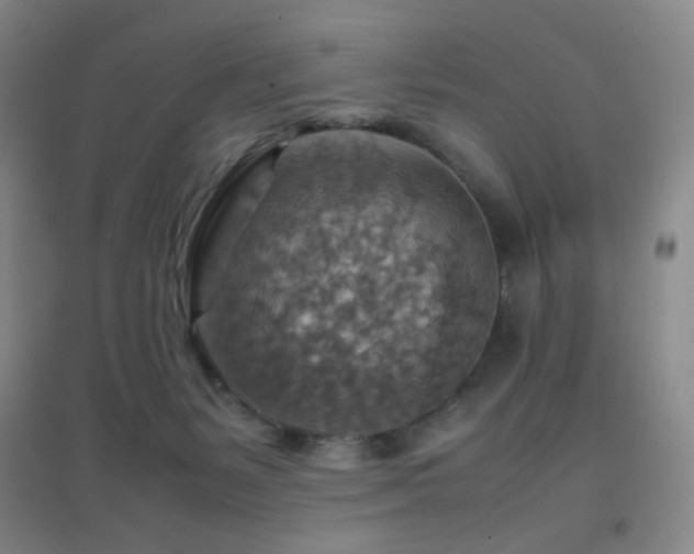 X0000096700127200802051420