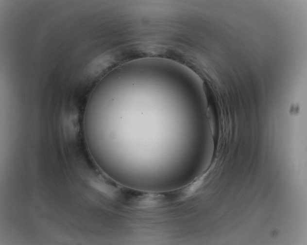 X0000096700128200802051420