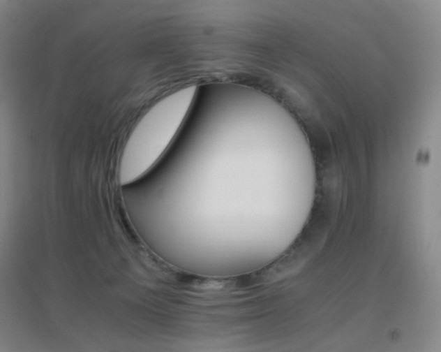 X0000096700129200802051420