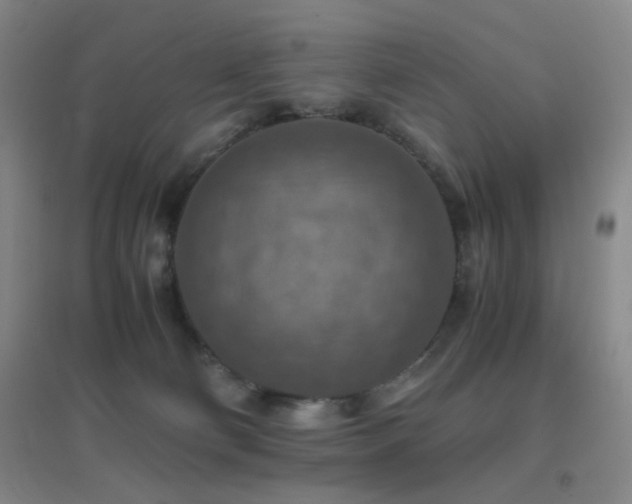 X0000096700130200802051420