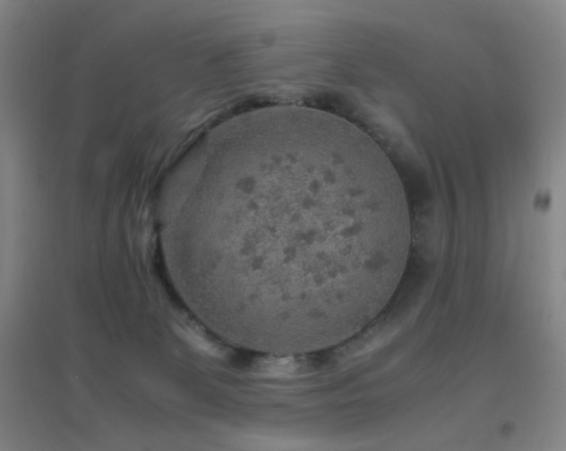 X0000096700131200802051420