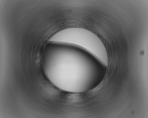X0000096700132200802051420