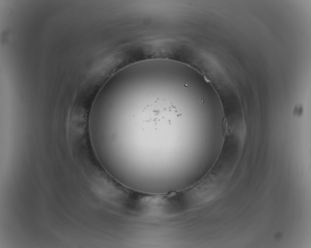X0000096700133200802051420