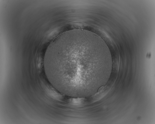 X0000096700134200802051420